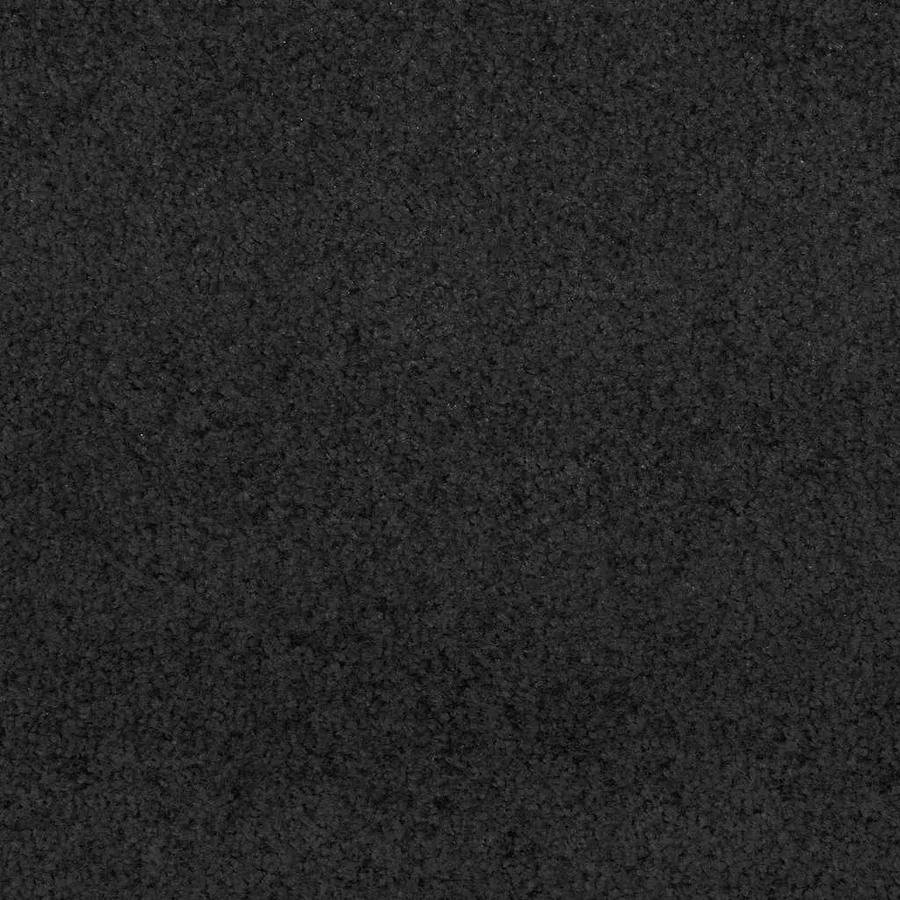 Tapis d'entrée Noir 90 x 150 cm 100% Polyamide - 6