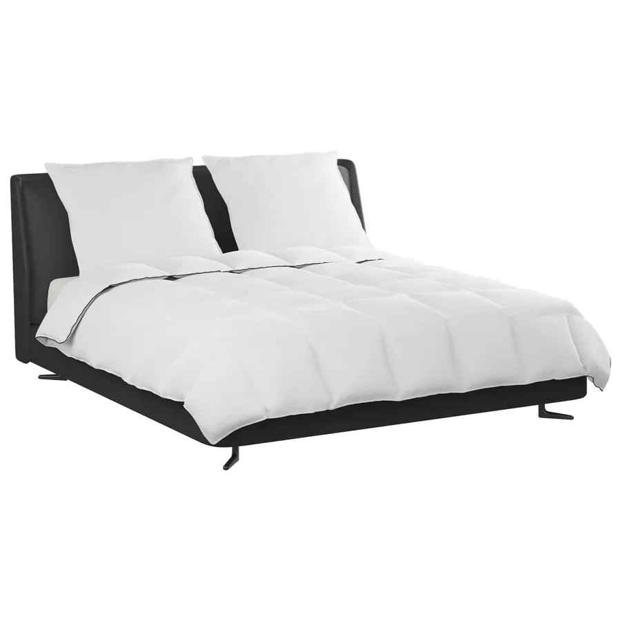 Duvet d'hiver avec oreiller 3 pcs Blanc Plume de canard - 3