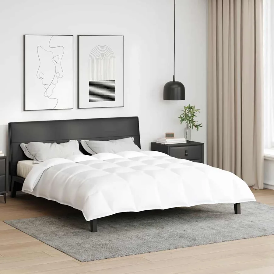 Duvet d'hiver Blanc 240 x 200 cm Plume