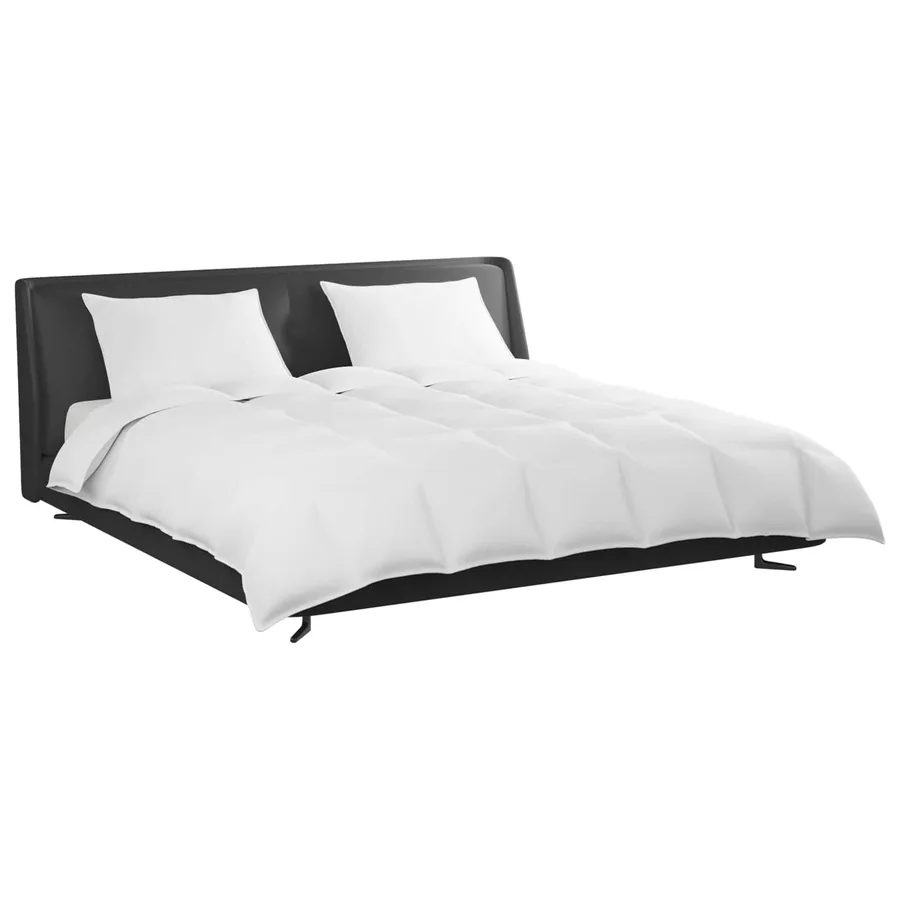 Ensemble de Duvet avec oreiller 3 pcs Blanc Plume de canard - 3