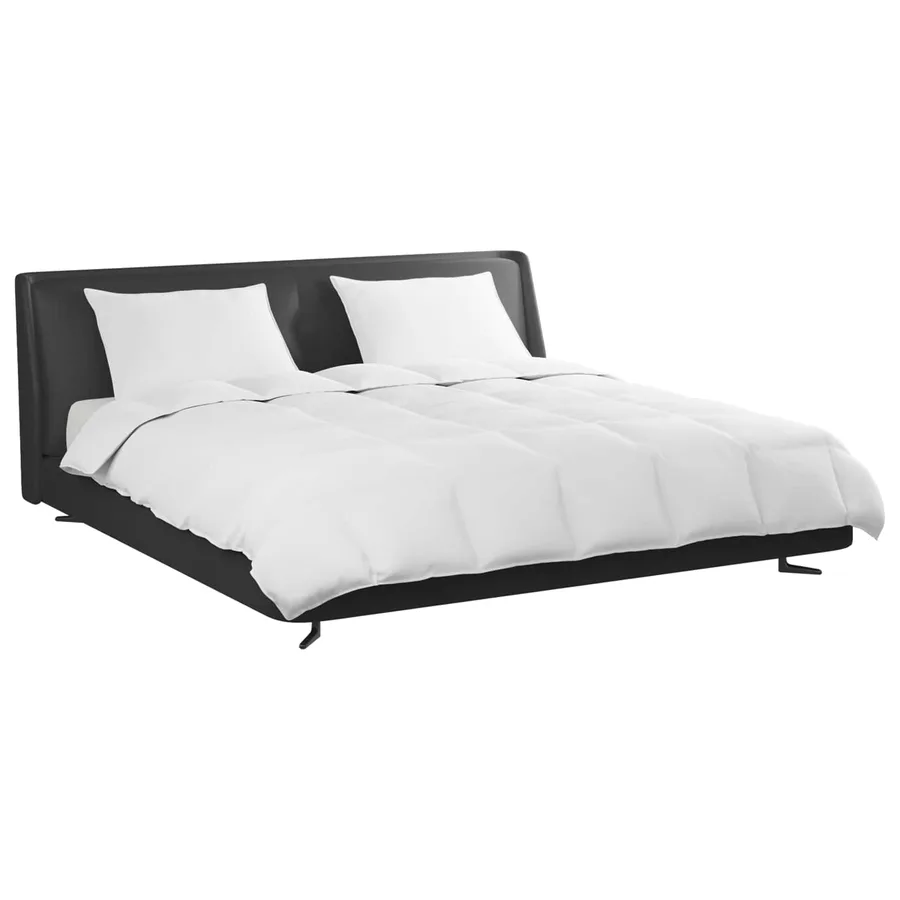 Ensemble de Duvet avec oreiller 3 pcs Blanc Plume de canard - 3
