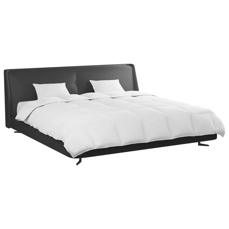 Ensemble de Duvet avec oreiller 3 pcs Blanc Plume de canard - 3