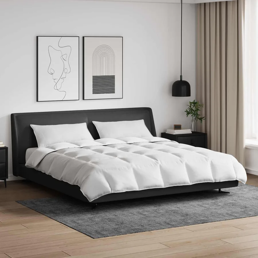 Ensemble de Duvet avec oreiller 3 pcs Blanc Plume de canard