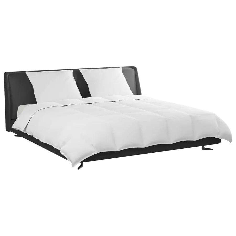 Ensemble de Duvet avec oreiller 3 pcs Blanc Plume de canard - 3