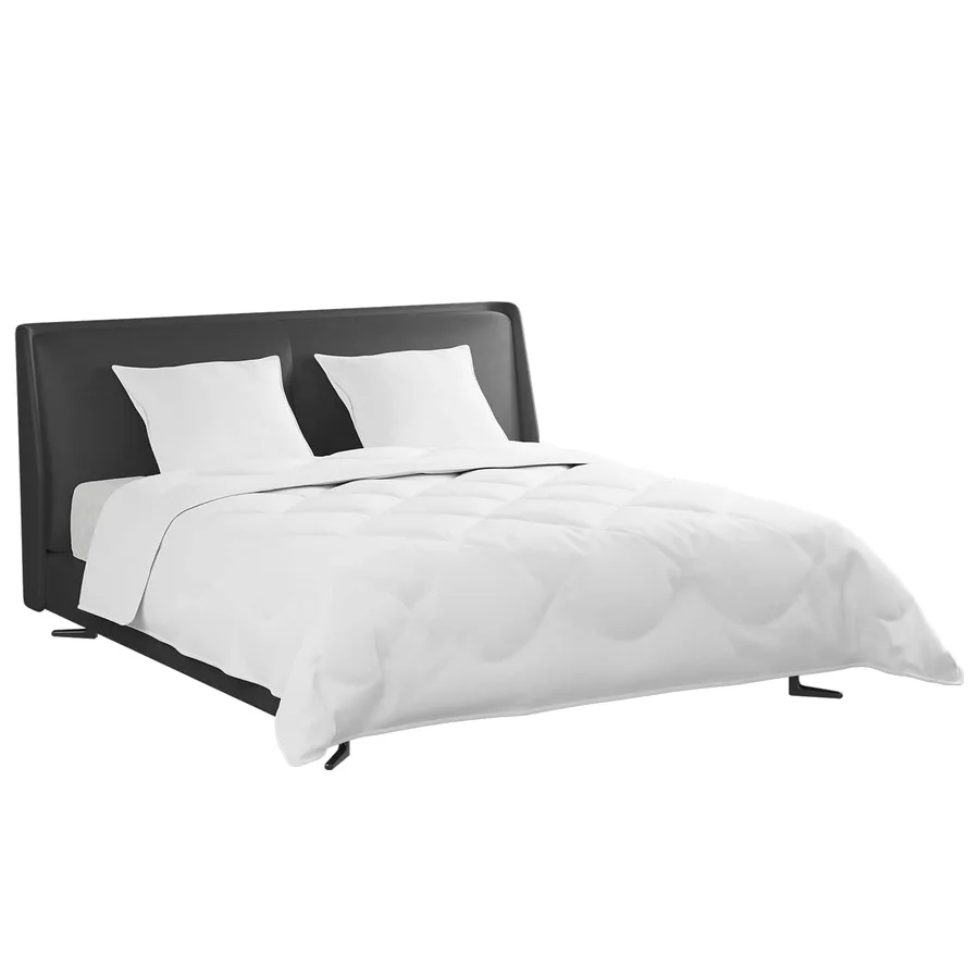 Ensemble de Duvet avec oreiller 3 pcs Blanc Plume de canard - 3