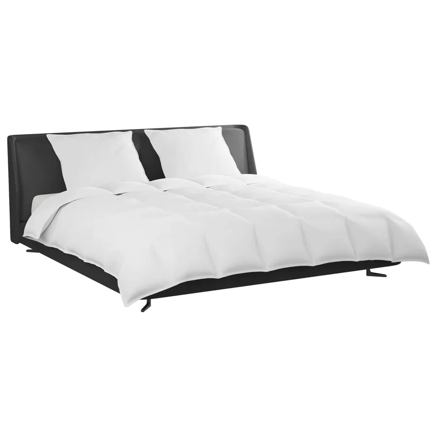 Ensemble de Duvet avec oreiller 3 pcs Blanc Plume de canard - 3