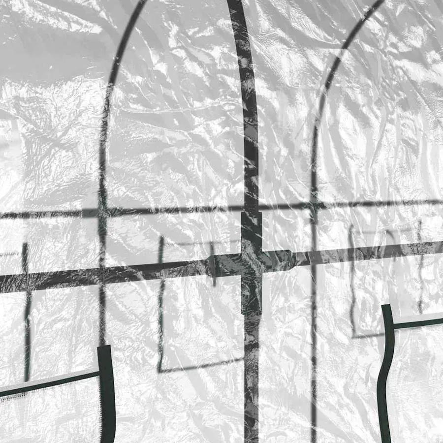 Serre Transparent 160x400x190 cm PVC et acier enduit de poudre - 5