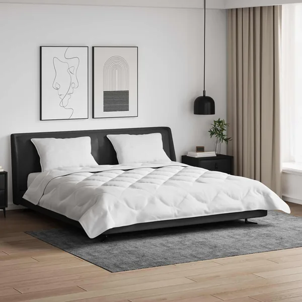 Couette avec oreiller 3 pcs Blanc Microfibre