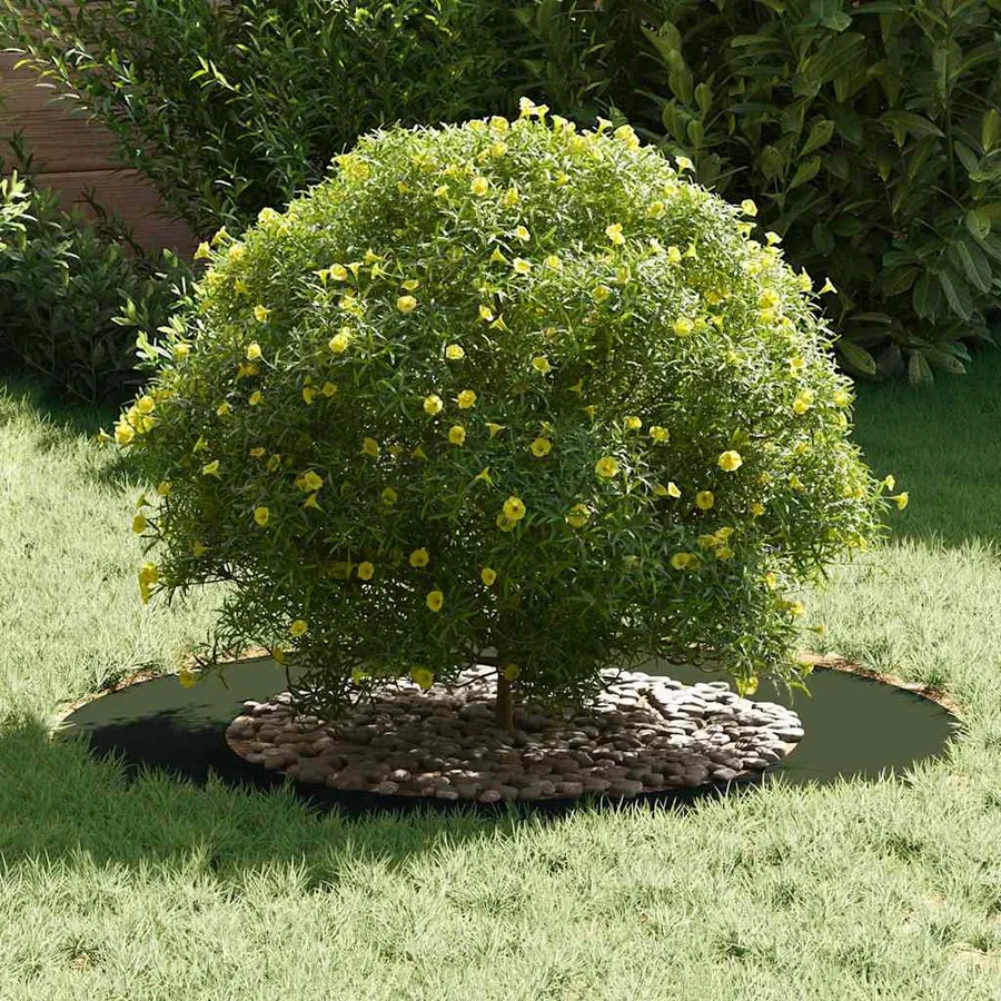 adapté pour anneaux d'arbre plats 5 pc Vert olive Ø50/80 cm - 3