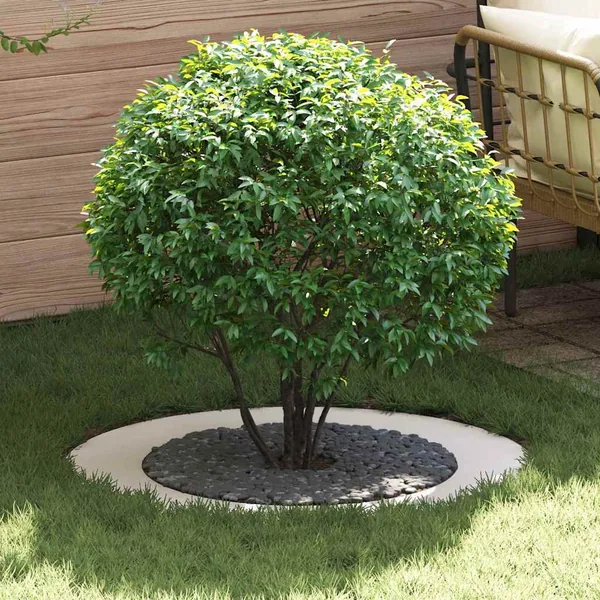 adapté pour anneau d'arbre plat Blanc Ø60/90 cm Acier