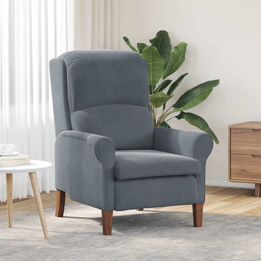 fauteuil Gris foncé Velours