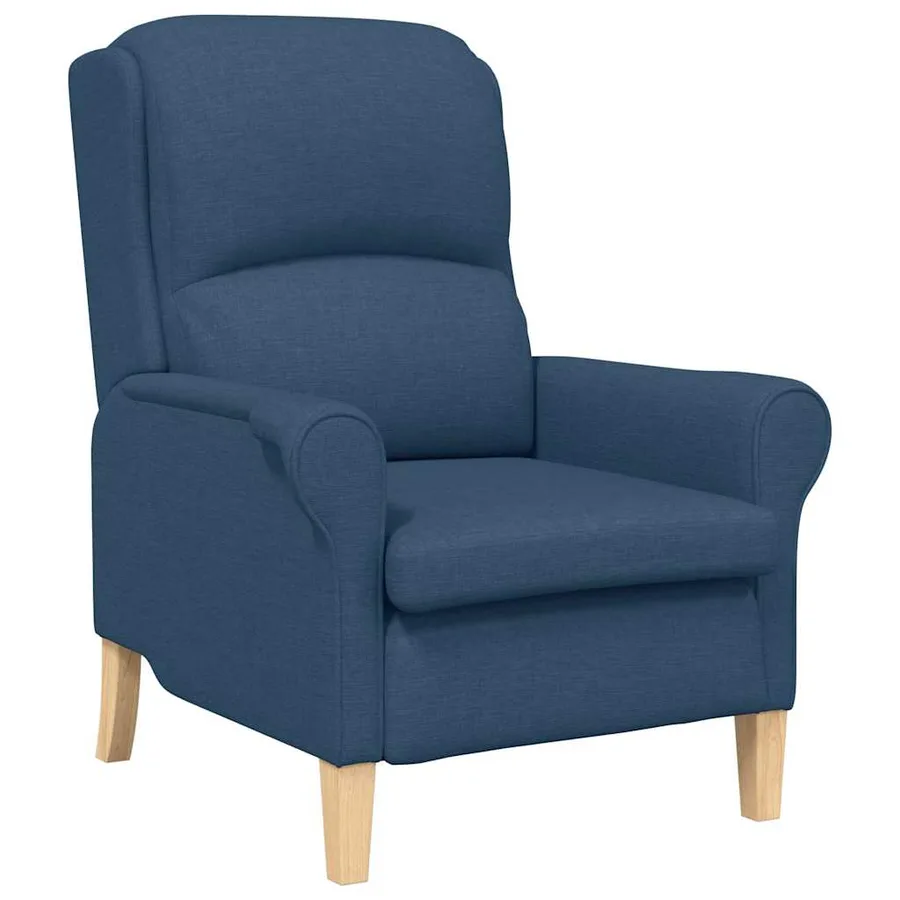 fauteuil Bleu tissu - 2