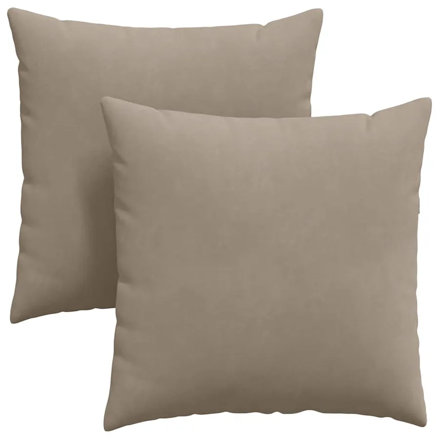 Coussins de canapé 2 pcs Taupe 80 x 80 cm tissu - 2