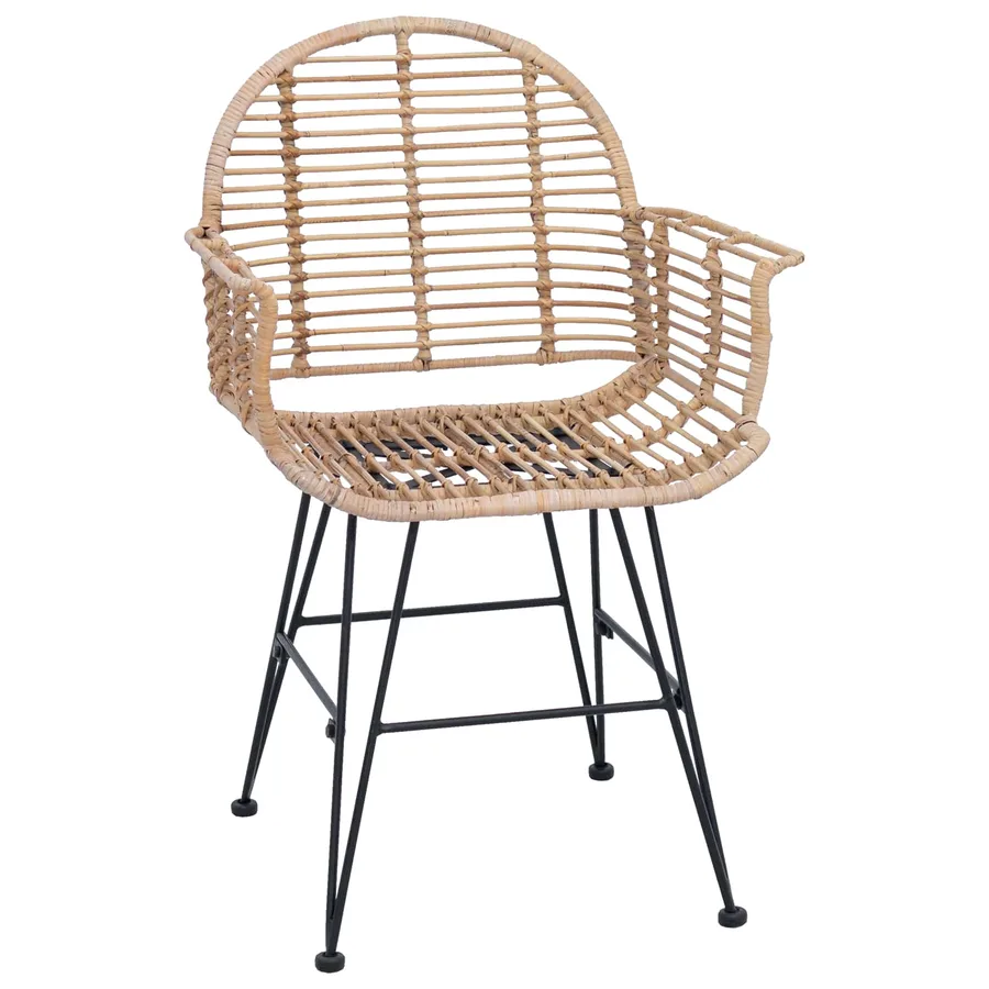 Chaise de salle à manger 2 pcs Rotin et métal Naturel - 4
