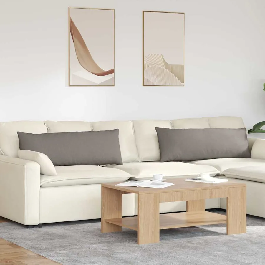 Coussins de canapé 2 pcs Taupe 120 x 40 cm tissu