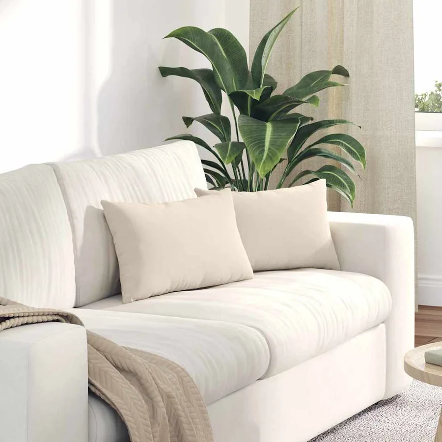 Coussins de canapé 2 pcs Beige 50 x 30 cm tissu
