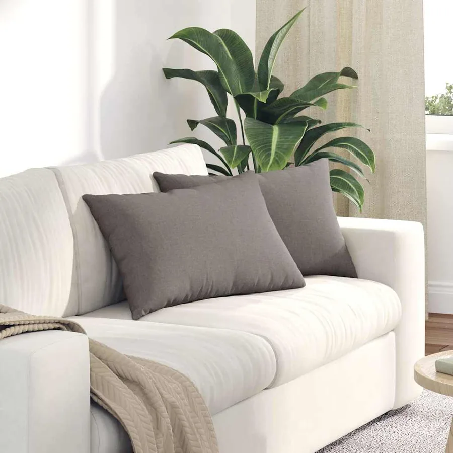 Coussins de canapé 2 pcs Taupe 60 x 40 cm tissu