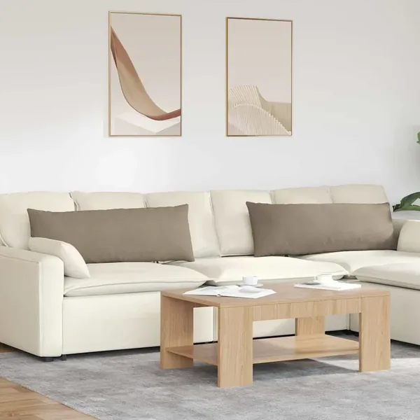 Coussins de canapé 2 pcs Taupe 120 x 40 cm tissu
