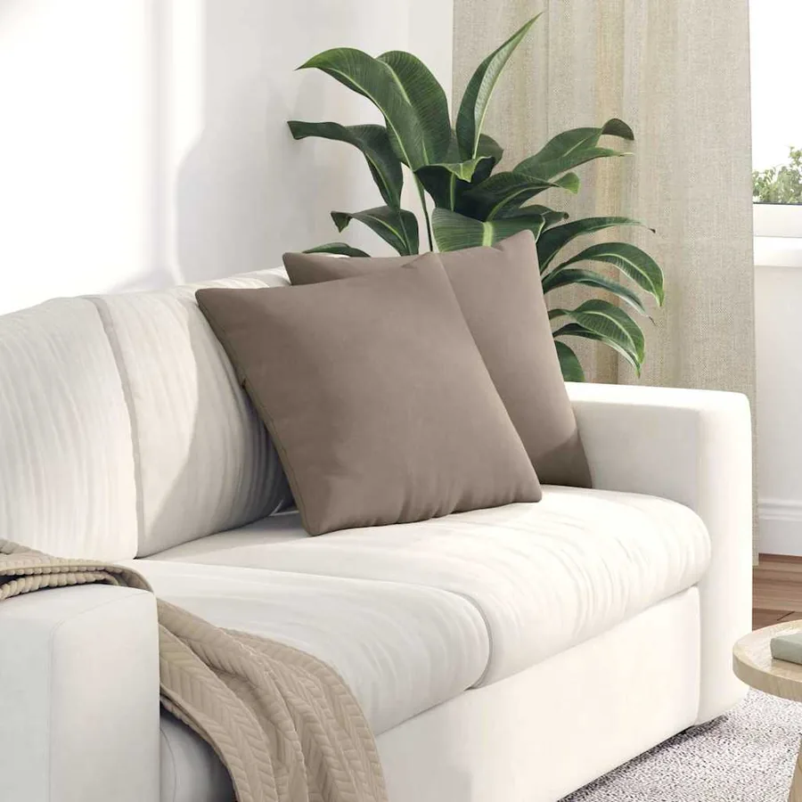 Coussins de canapé 2 pcs Taupe 45 x 45 cm tissu