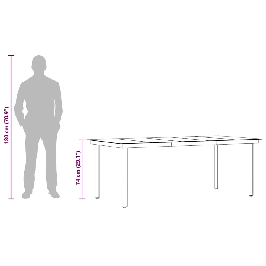 Table à dîner de jardin Noir 200x100x74 cm Acier et verre - 10