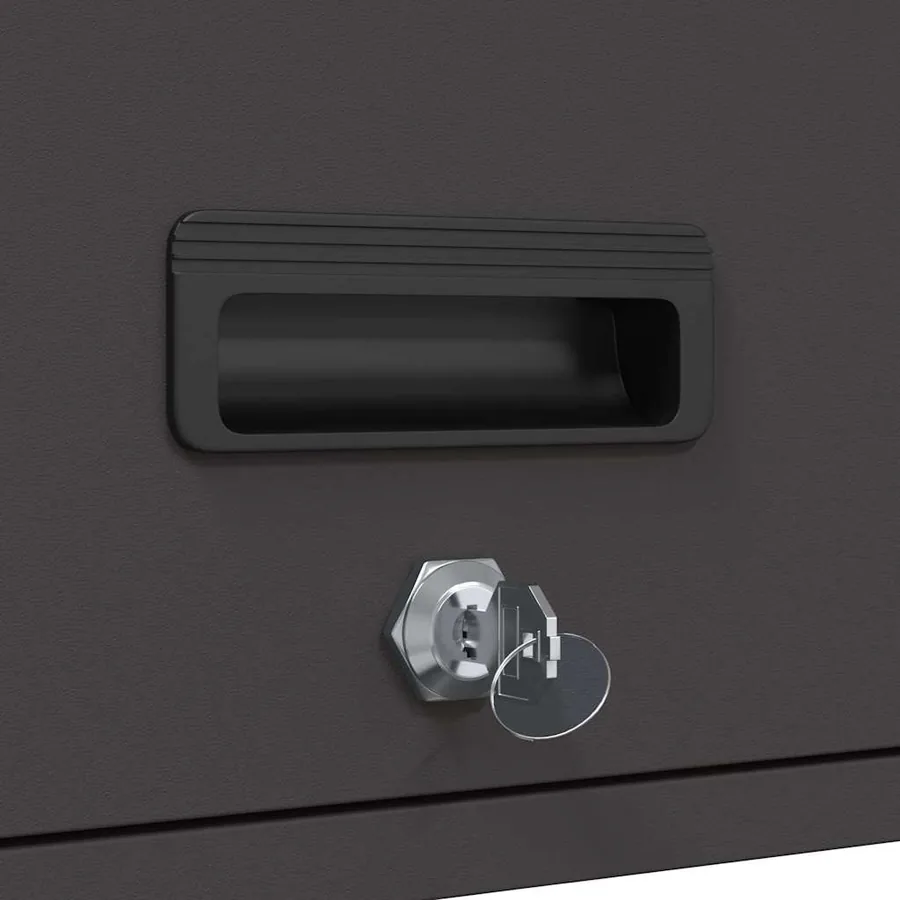 Armoire murale pour garage Noir 80 x 40 x 53 cm - 11