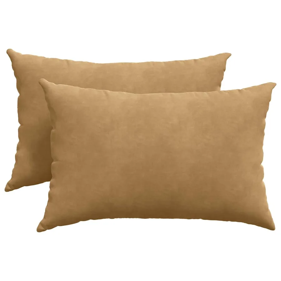 Coussins de canapé 2 pcs Marron 60 x 40 cm - 2