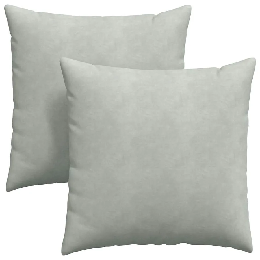 Coussins de canapé 2 pcs Gris clair 80 x 80 cm - 2