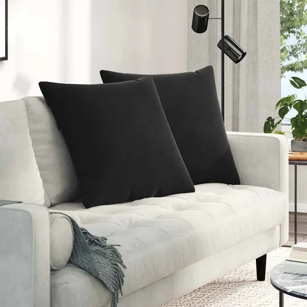 Coussins de canapé 2 pcs Noir 60 x 60 cm