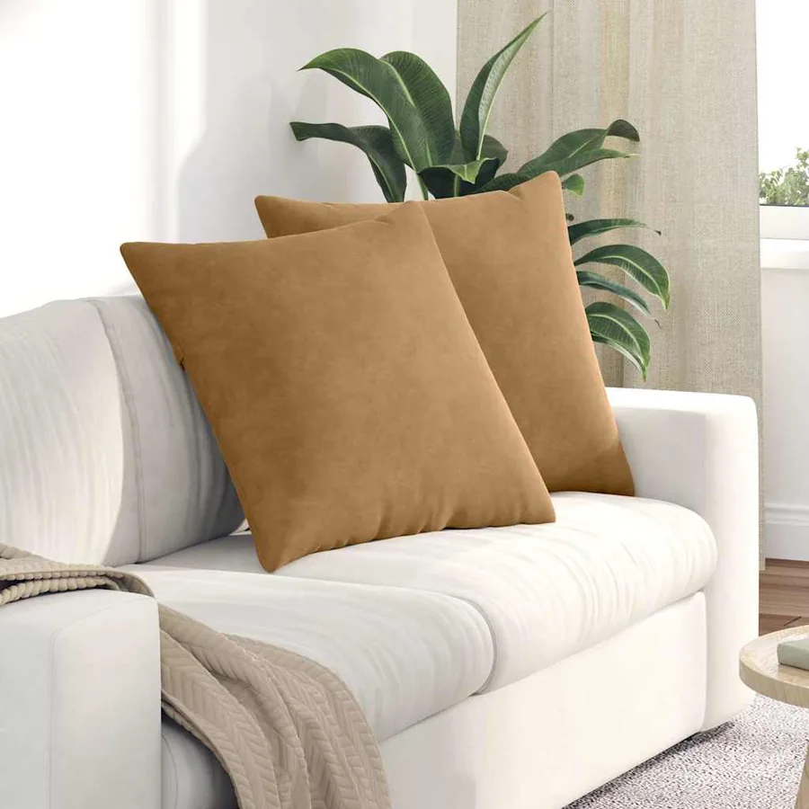 Coussins de canapé 2 pcs Marron 60 x 60 cm