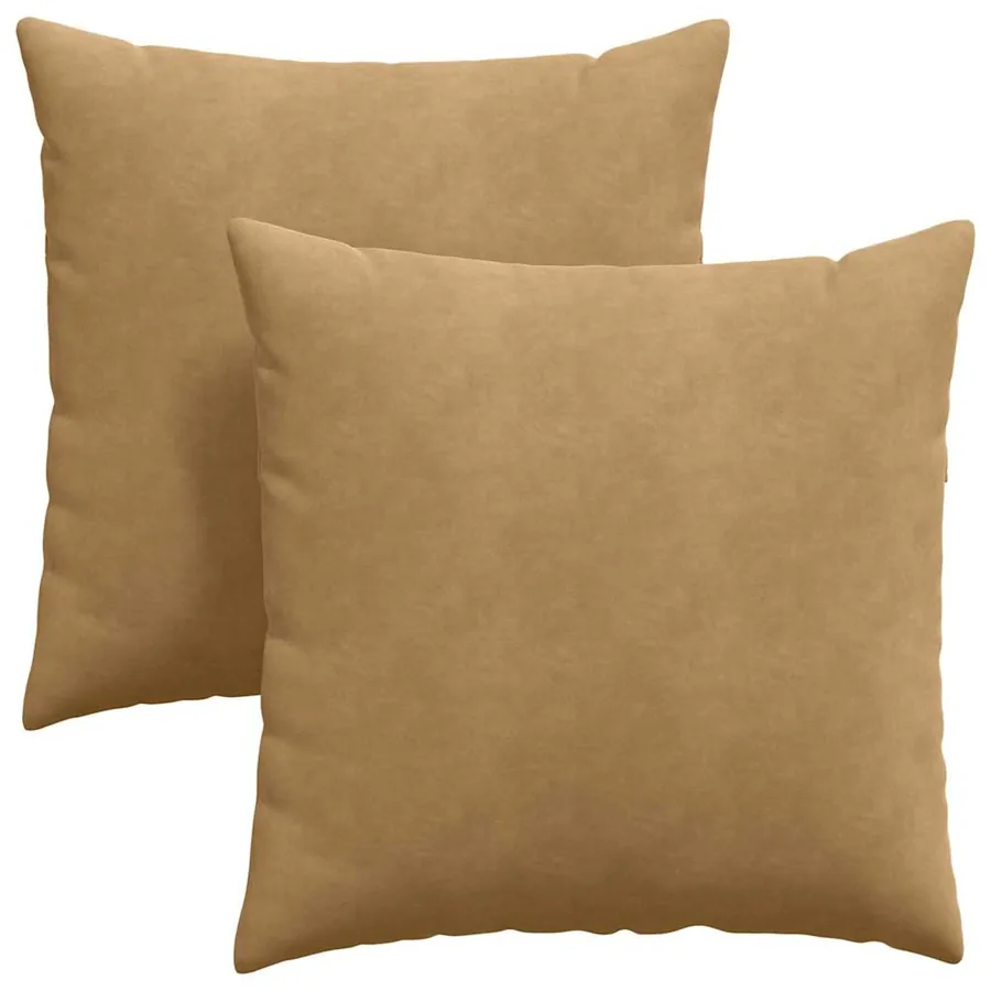 Coussins de canapé 2 pcs Marron 60 x 60 cm - 2