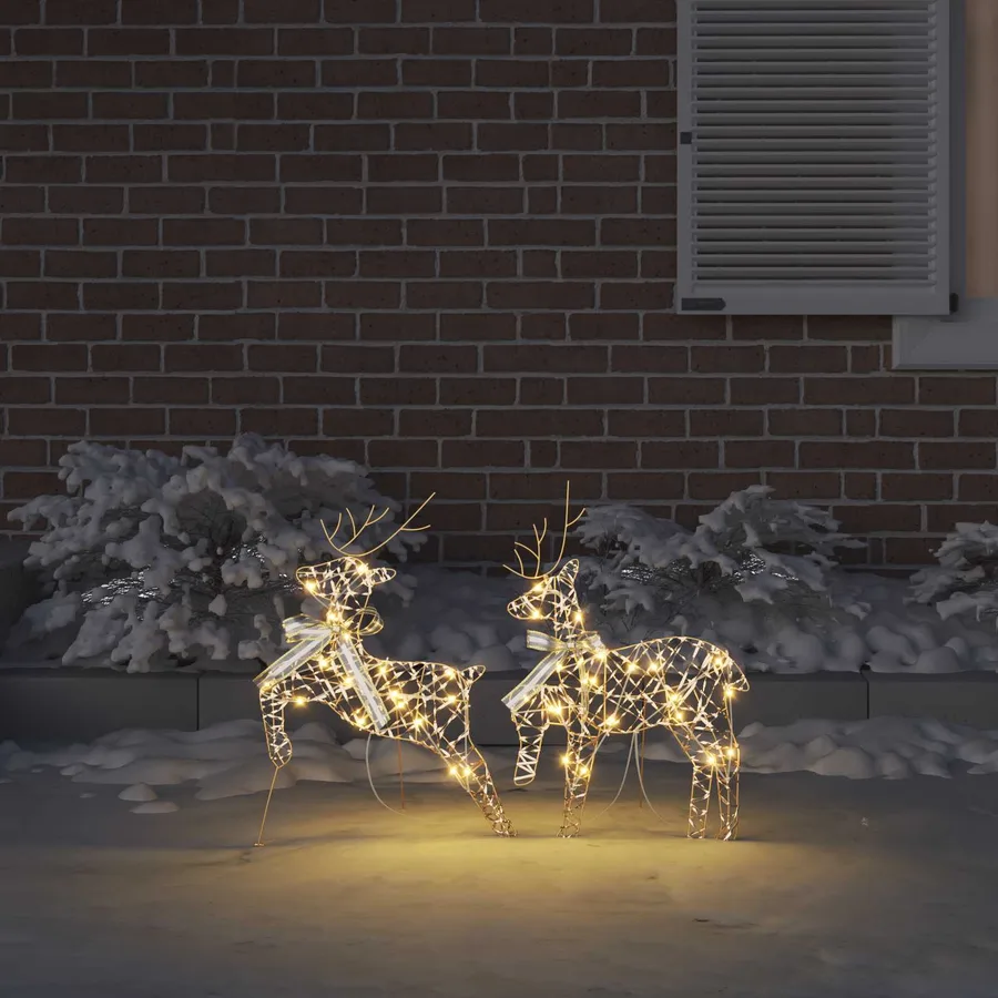 Rennes LED avec 40 LED 2 pcs Blanc chaud PET - 3
