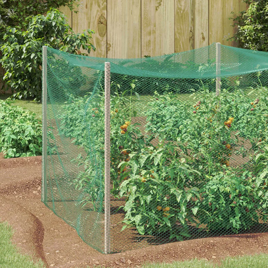 Filet de protection pour oiseaux Vert 4 x 5 m Polyéthylène