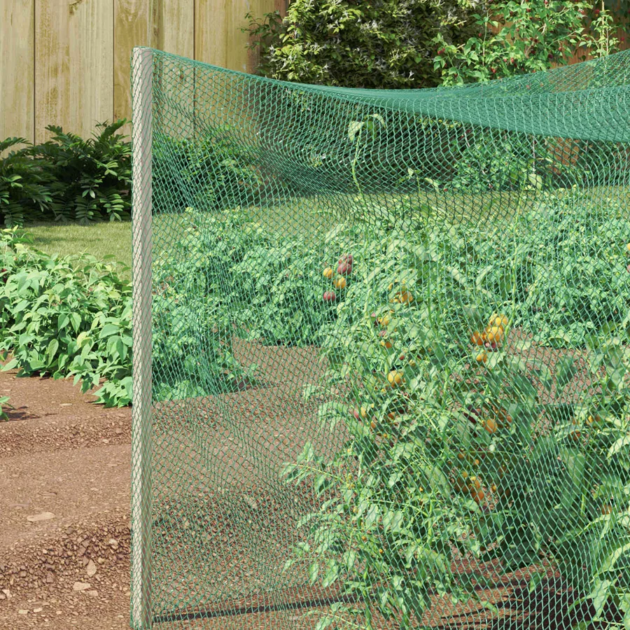 Filet de protection pour oiseaux Vert 4 x 5 m Polyéthylène - 3