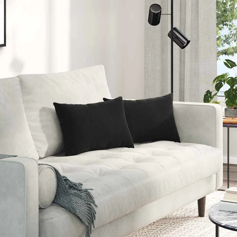 Coussins de canapé 2 pcs Noir 50 x 30 cm