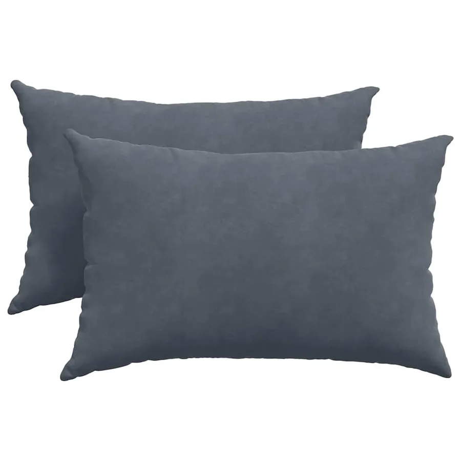 Coussins de canapé 2 pcs Gris foncé 60 x 40 cm - 2