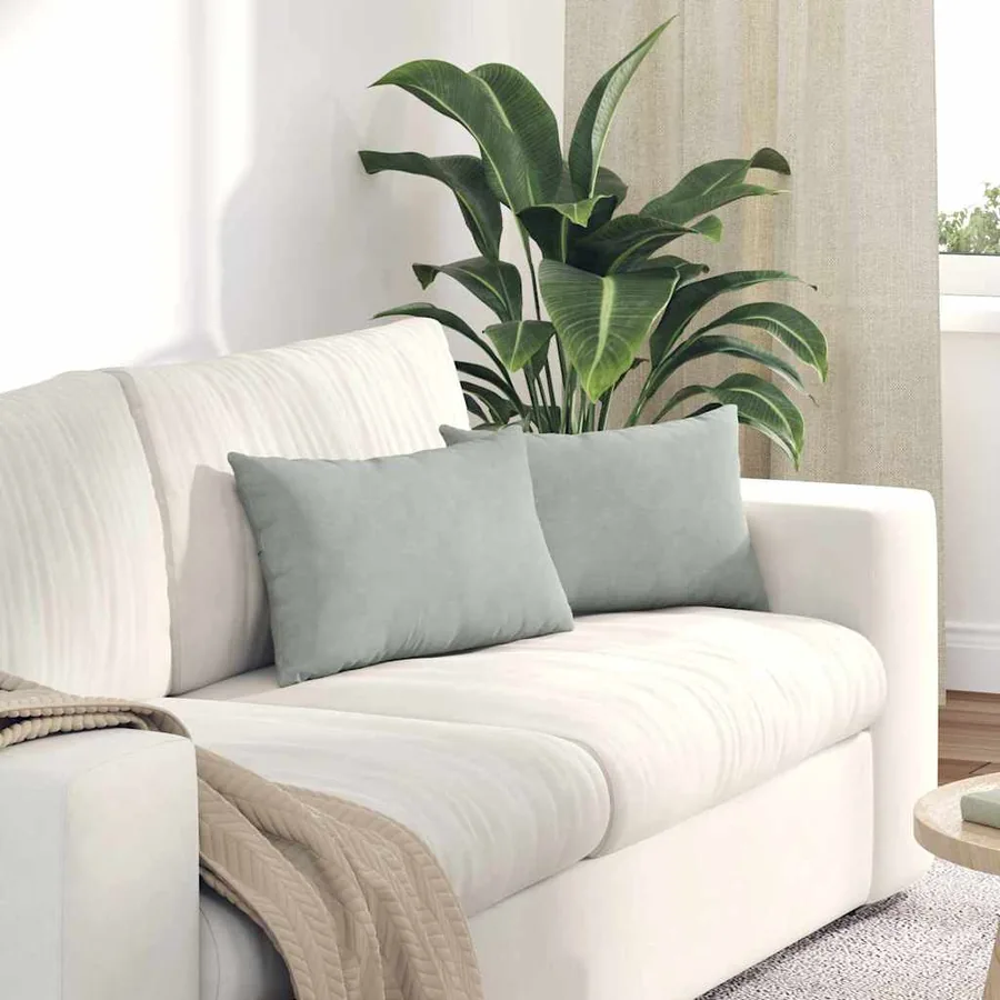 Coussins de canapé 2 pcs Gris clair 50 x 30 cm