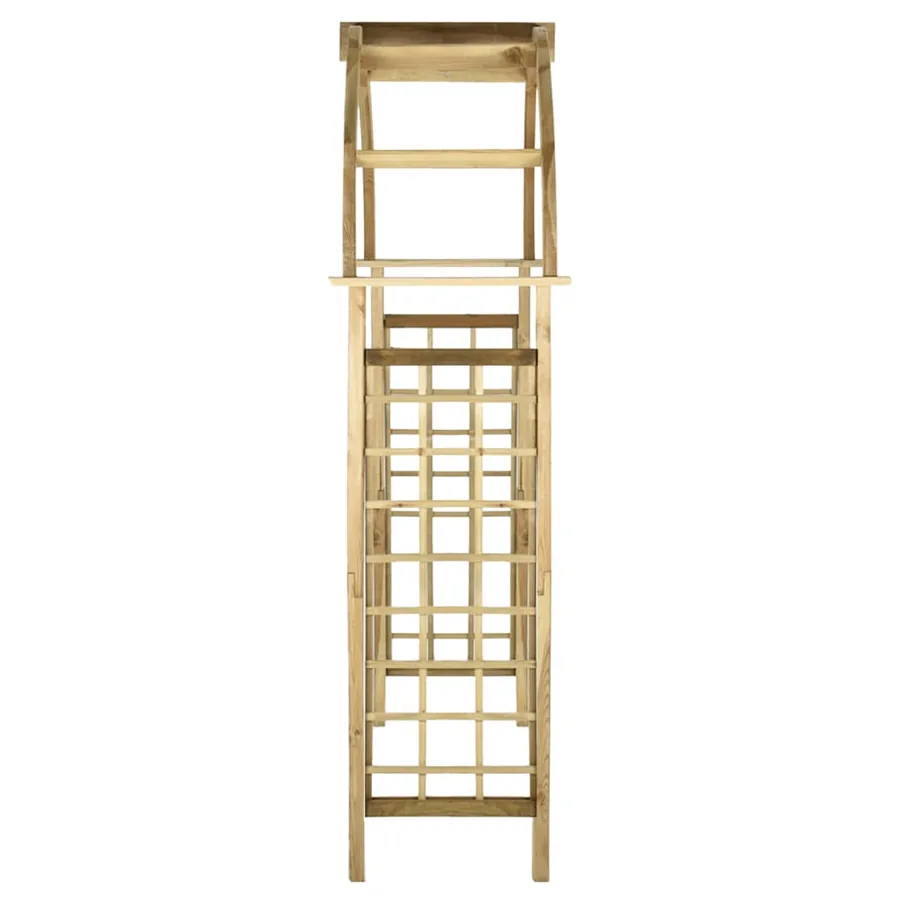 Arche avec treillis Bois de pin vert imprégné - 3