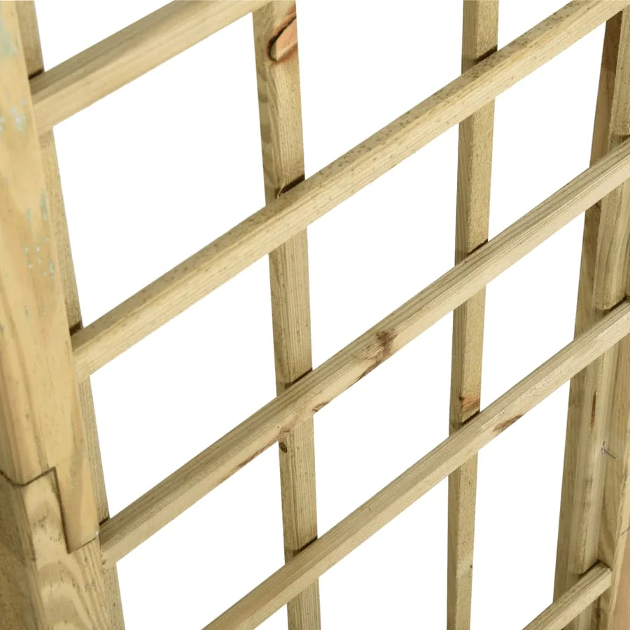 Arche avec treillis Bois de pin vert imprégné - 5