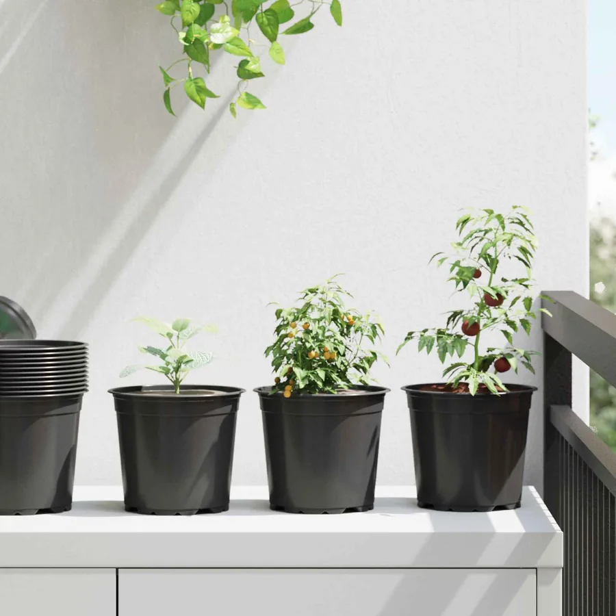 Pot à fleurs 50 pcs Noir Ø 15 x 13 cm Plastique