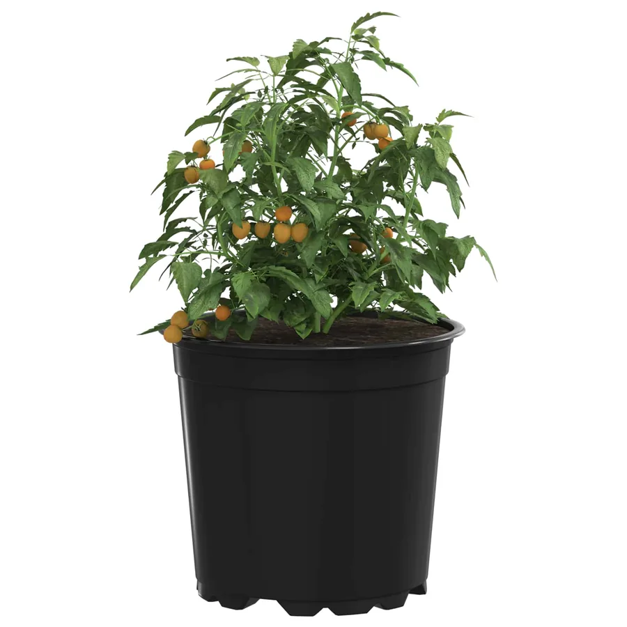 Pot à fleurs 50 pcs Noir Ø 15 x 13 cm Plastique - 3