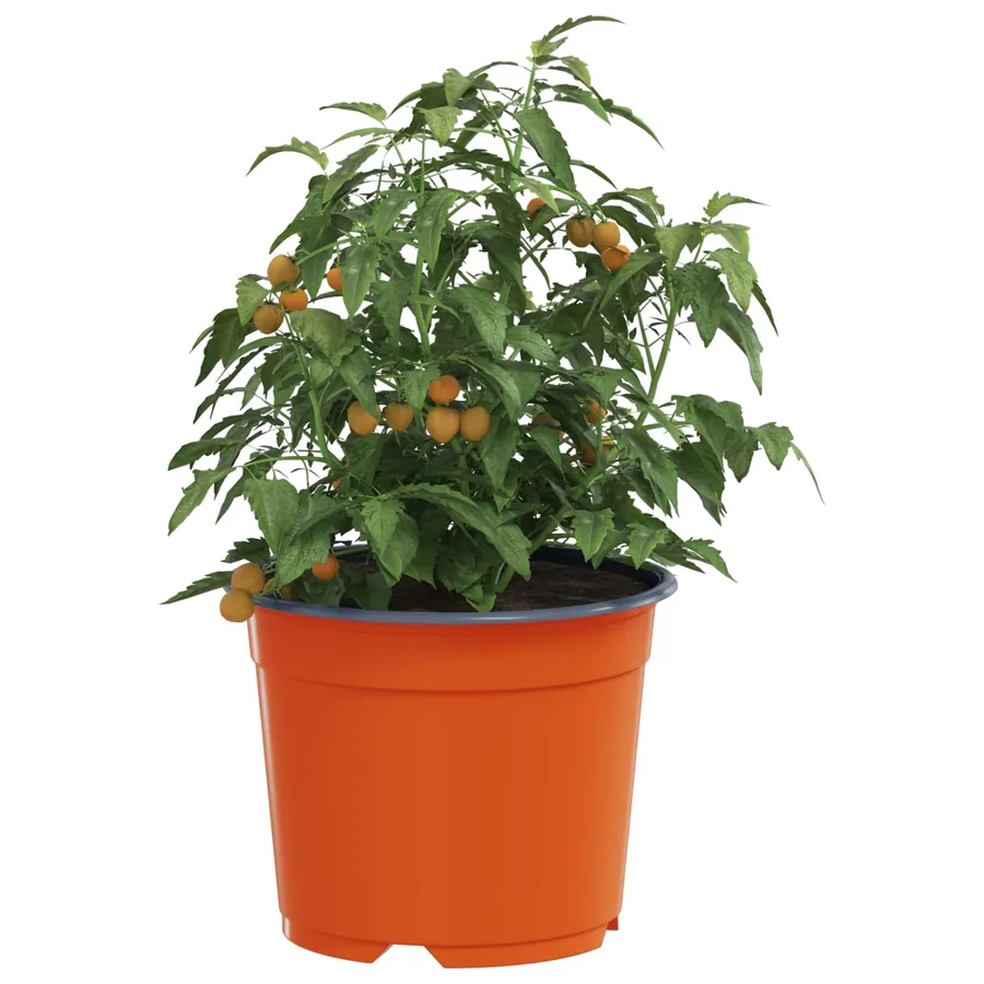 Pot à fleurs rond 100 pcs Terre cuite Ø 10 x 8 cm Plastique - 3