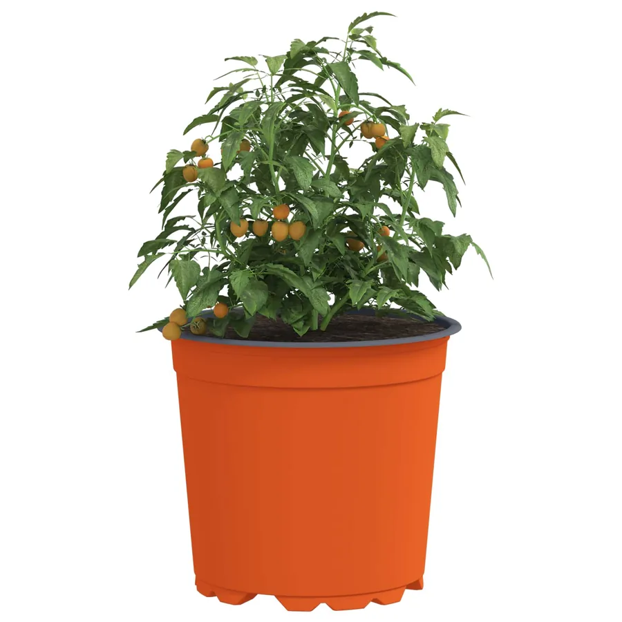 Pot à fleurs 50 pcs Terre cuite Ø 15 x 13 cm Plastique - 3