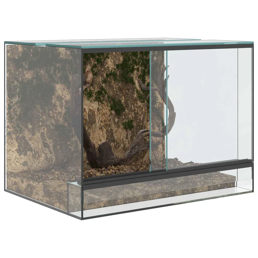Terrarium avec stockage Transparent 40 x 30 x 30 cm Verre - 3