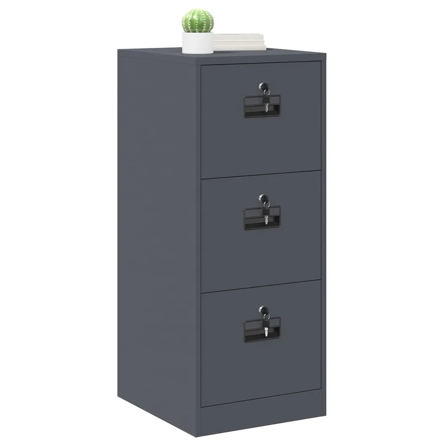 Cabinet de Dossier avec tiroir Anthracite 44 x 50 x 106.5 cm - 3