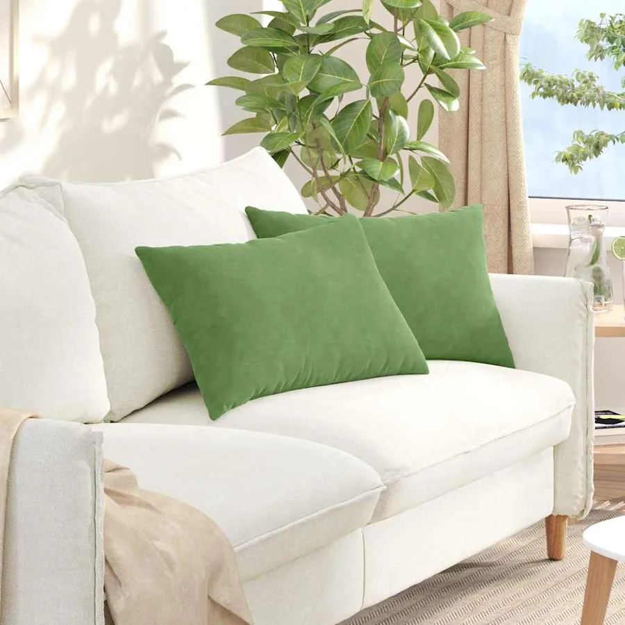 Coussins de canapé 2 pcs Vert clair 60 x 40 cm