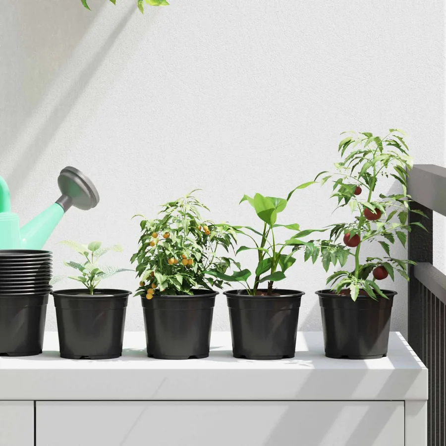Pot à fleurs rond 100 pcs Noir Ø 10 x 8 cm Plastique