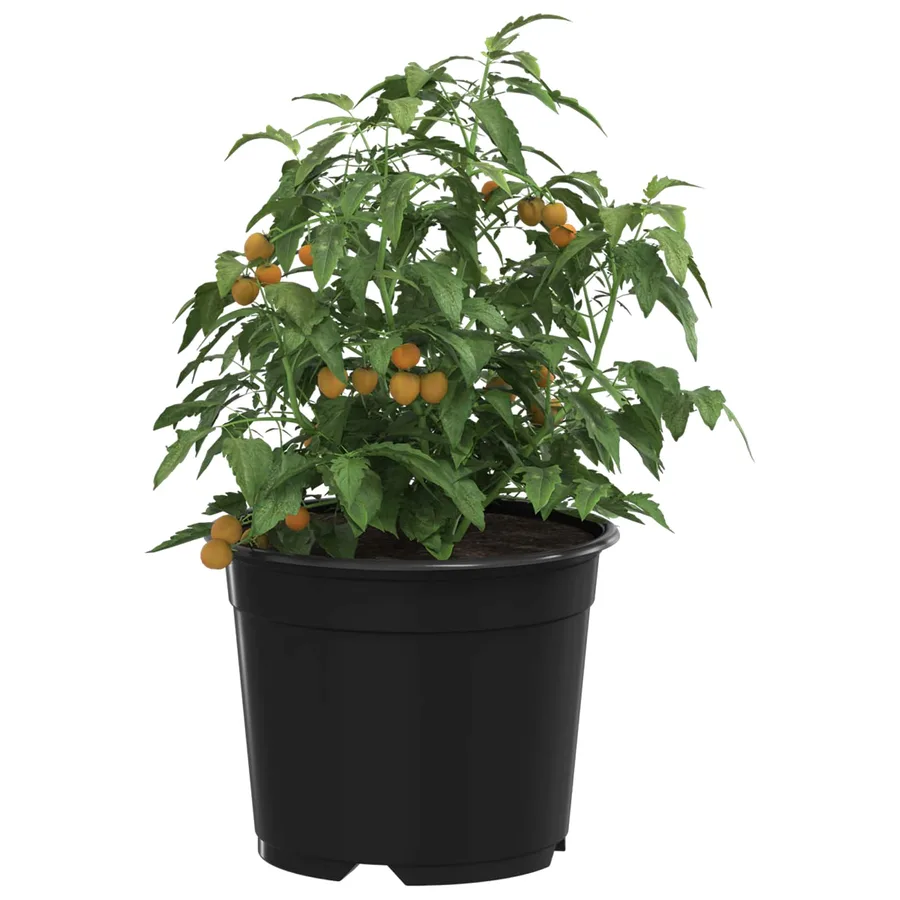 Pot à fleurs rond 100 pcs Noir Ø 10 x 8 cm Plastique - 3