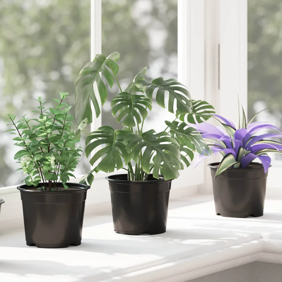 Pot à fleurs rond 100 pcs Noir Ø 10 x 8 cm Plastique - 5