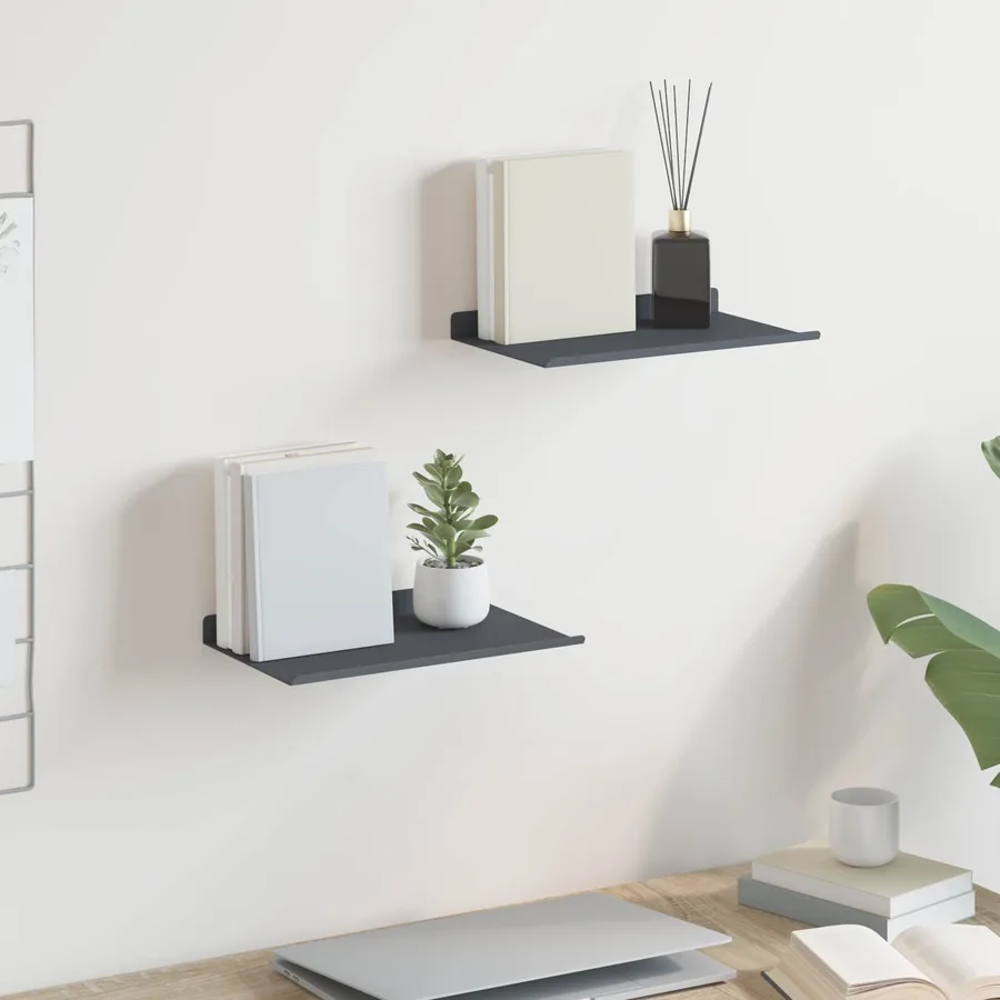 Étagère flottante 2 pcs Anthracite 30 x 18 x 2,5 cm Acier