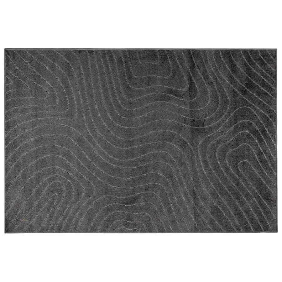 Tapis de surface PALMERAS Anthracite 170 x 120 cm Polyester - 2